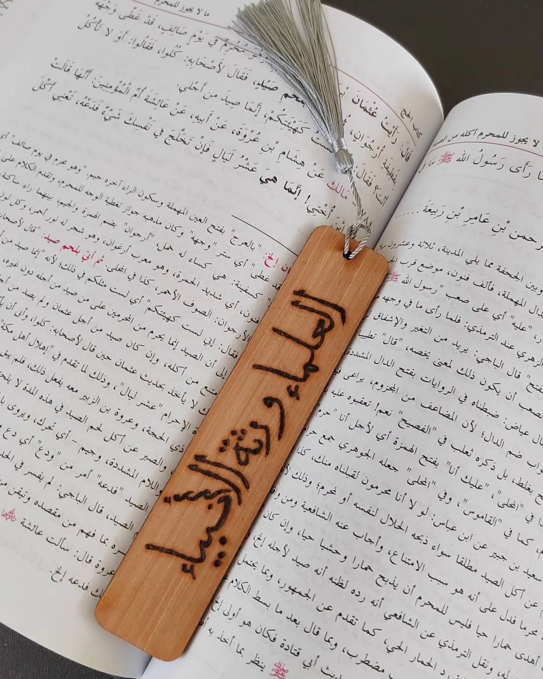 'Scholars are inheritors' Bookmark